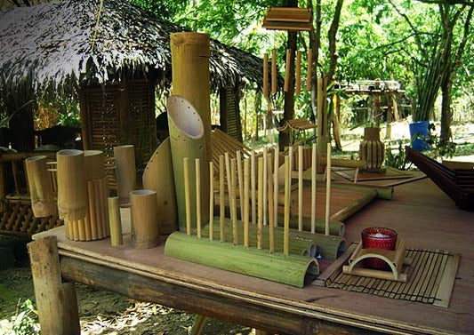Exploring the Sustainable Journey of Bamboo