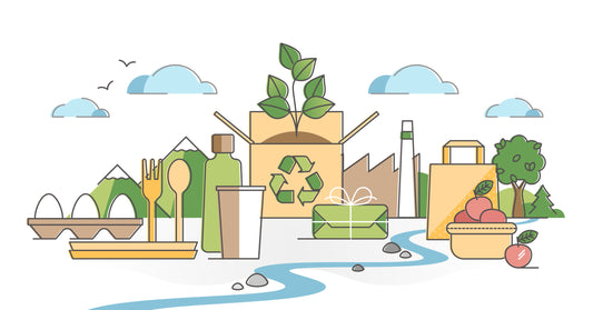 The Impact of Sustainable Packaging on the Environment