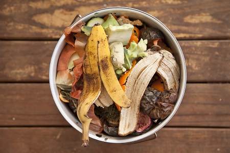 Smart Ways to Utilise Food Scraps
