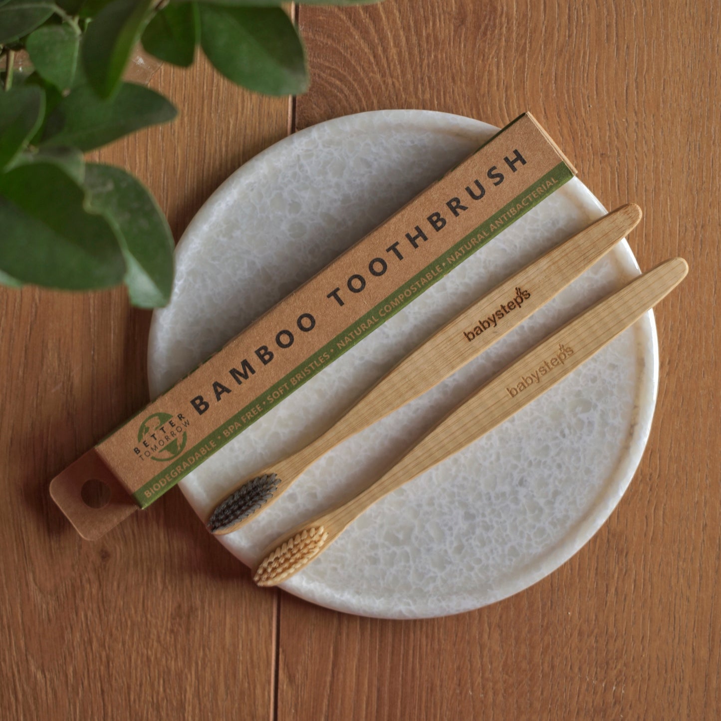 Bamboo Toothbrush (Pack of 2)