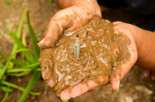 Plantable Seed Pencils: Growing Ideas and Plants Hand in Hand