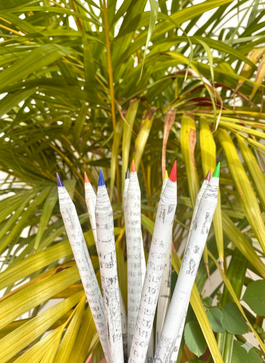 Plantable Seed Colour Pencils - Pack of 12 Pencils