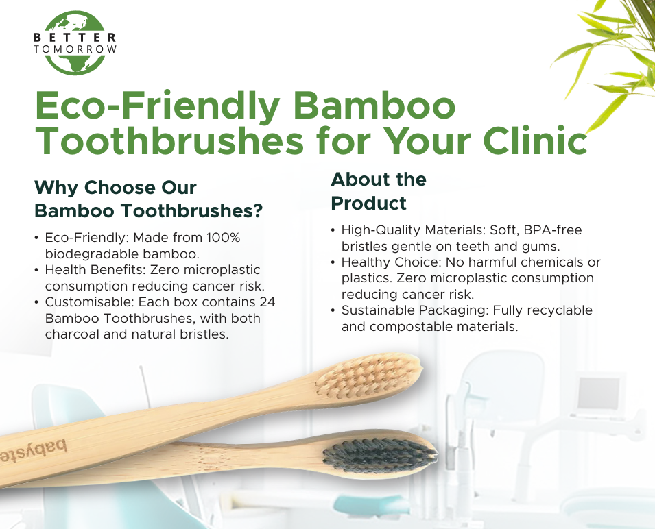 Dentist Special Bamboo Toothbrush Display Box (24 Toothbrushes)