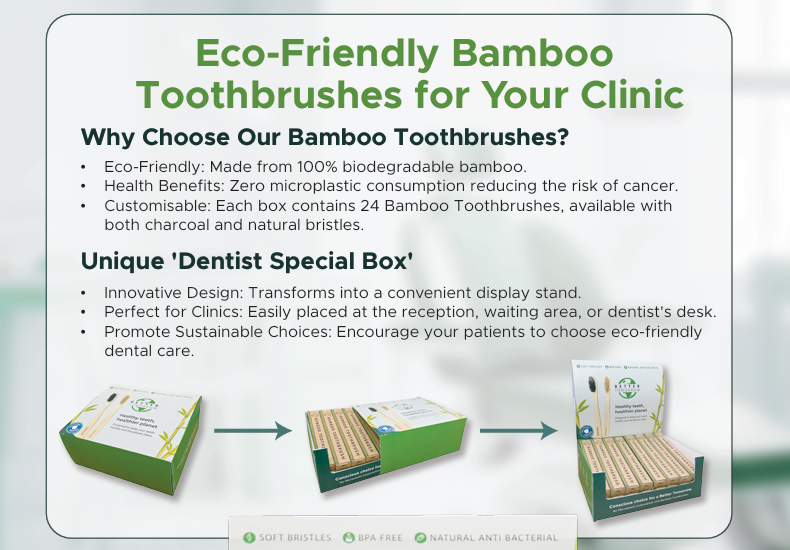 Dentist Special Bamboo Toothbrush Display Box (24 Toothbrushes)