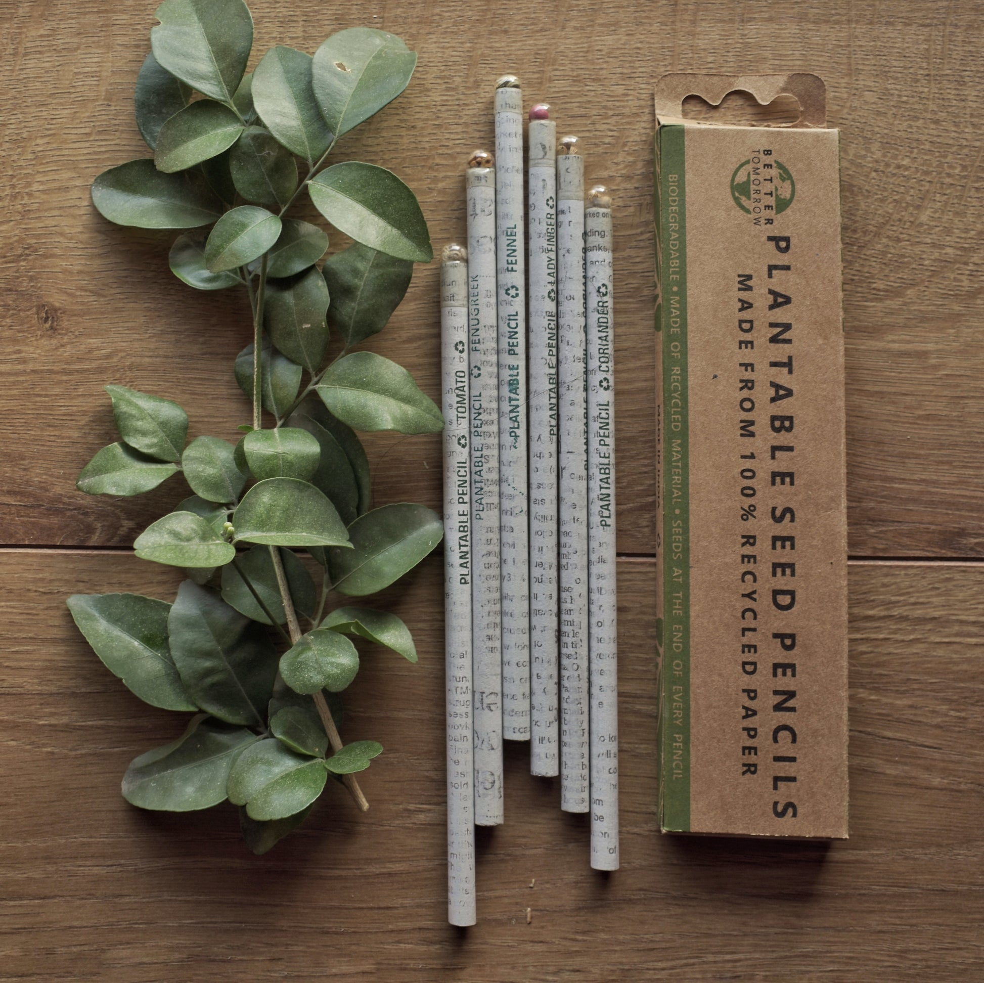 pencil plant seeds Plantable Seed Pencils (Pack of 6) – Better Tomorrow Co